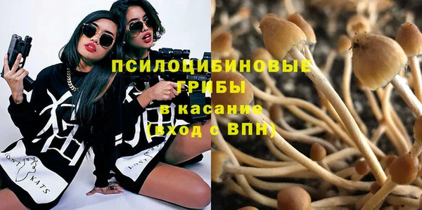 сатива Нефтекумск