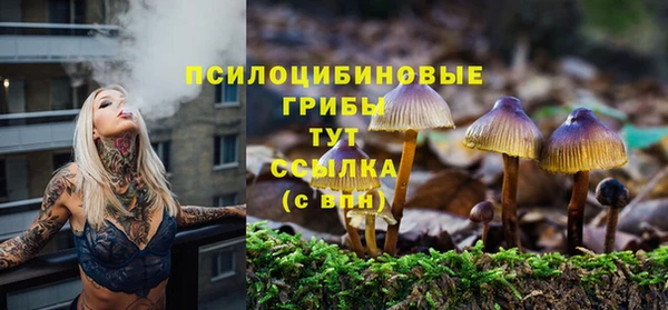 дмт Надым