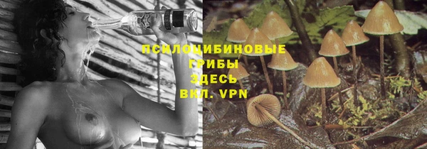 гашик Нефтегорск