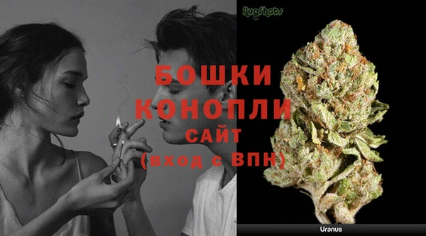 сатива Нефтекумск