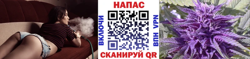 Марихуана ГИДРОПОН Куса